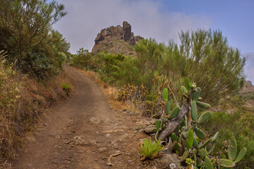 Dry hiking path in Teno hills