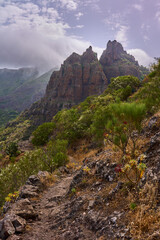 Misty volcanic cliffs in Teno