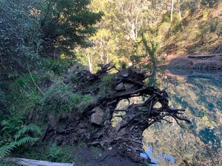 waterfall in the forest