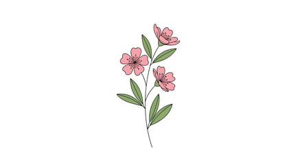 Delicate pink flowers with green leaves on a white background illustration