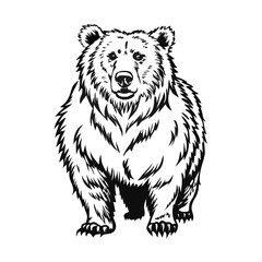 Grizzly Bear Standing Front View Black and White Vector Illustration Outline Drawing