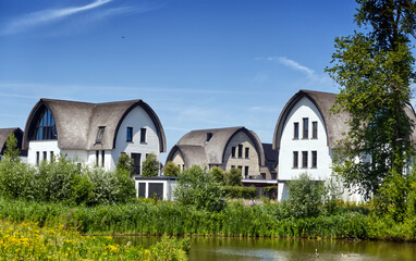 Picturesque residential area showcasing innovative housing design with traditional thatched roofs...