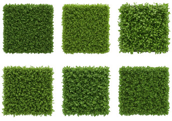 Six square hedges made of dense green foliage, arranged in two rows of three, isolated on a transparent background
