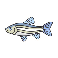 Illustration of a danio fish, zebrafish, freshwater aquarium fish, pet fish, small fish drawing