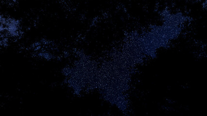 low-angle view of the night sky, teeming with countless twinkling stars, as seen through the dark, silhouetted canopy of tall trees.