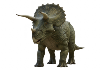 A realistic 3d render of a triceratops dinosaur standing, isolated on a transparent background
