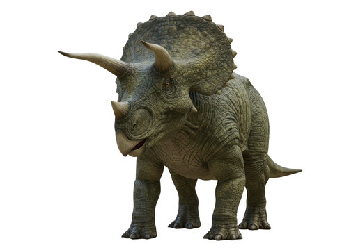 A realistic 3d render of a triceratops dinosaur standing, isolated on a transparent background