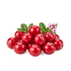 Obraz premium Fresh red cranberries with green leaves and pink flowers 