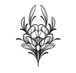 plants flowers vintage hand drawing