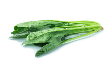 fresh spinach on white background, Group of fresh Spinach (Spinacia oleracea) isolated on white background close up stack
