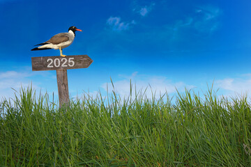 Sitzender Vogel mit Jahreszahl  auf einem Wegweiser