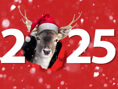 Jahreswechsel mit Tier als Motiv