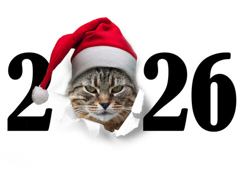 Jahreswechsel mit Tier als Motiv