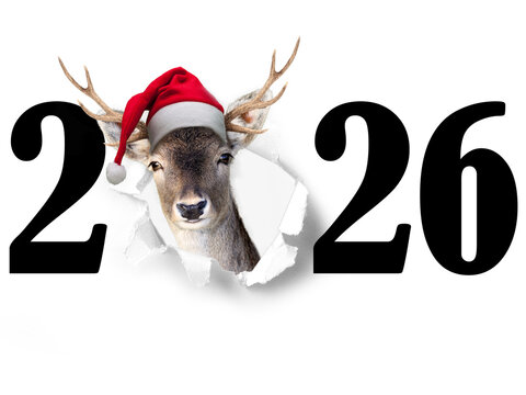 Jahreswechsel mit Tier als Motiv