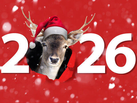 Jahreswechsel mit Tier als Motiv