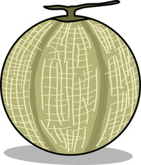 Fresh melon icon, symbolizing summer, health, and refreshment. Perfect for food, beverage, or healthy lifestyle designs. A vibrant, clean, and modern vector illustration for your projects