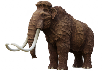 A large, furry mammoth with long tusks stands majestically, isolated against a transparent background