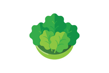 Salad Greens Top View Vector Illustration Isolated