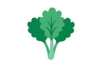 Obraz premium Smooth Flat Kale Leaves In Bunch Vector Art On White Background