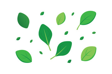 Spinach Leaves Scattered Organically On White Background