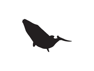 Whale silhouette vector. A whale silhouette can be used as an icon, symbol, or sign. Simple Silhouette of a Whale in Mid-Air.