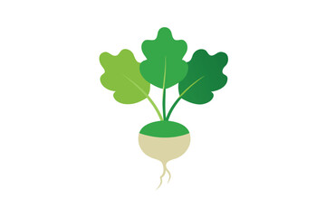 Obraz premium Turnip Greens With Roots Peeking Out Vector Style