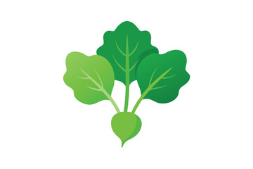 Naklejka premium Turnip Leaves Isolated Without Stems In Flat Vector