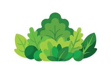 Variety Of Salad Greens In Cartoon Composition Vector Style