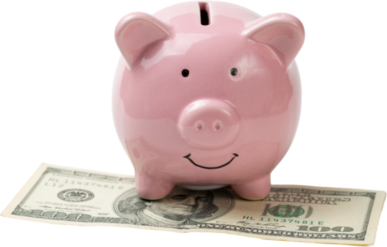 Pig piggy bank on the background of 100 US dollar bills and physical coins of bitcoins. Concept of wealth and exchange..