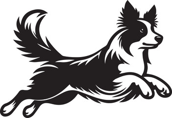 Fototapeta premium Border Collie Dog Vector – Silhouette 
