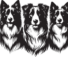 Border Collie Dog Vector – Silhouette 