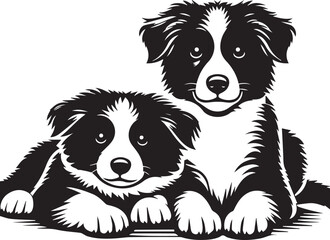 Fototapeta premium Border Collie Dog Vector – Silhouette 