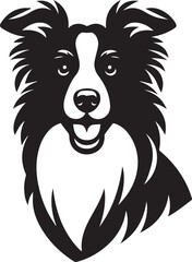 Obraz premium Border Collie Dog Vector – Silhouette 