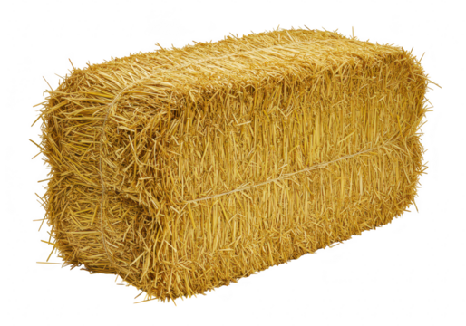 A rectangular bale of dry straw, tied with twine, isolated on a transparent background