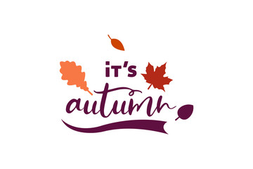 Autumn Leaves Design Its Autumn Season with Colorful Foliage