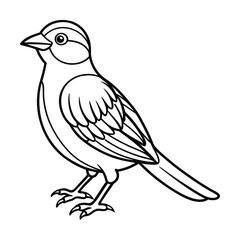 Obraz premium Bird Vector Line Art Illustration On White Background With Elegant Minimal Details