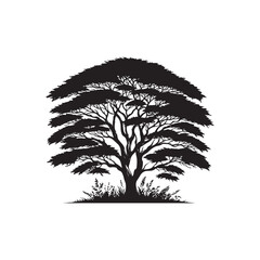 Acacia Vector (2).eps