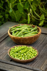 Freshly harvested green peas