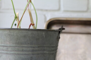 Decorative metal bucket holding plant with green stems and twine in a rustic kitchen setting