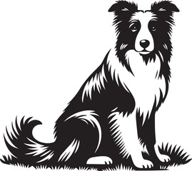 Border Collie Dog Vector – Silhouette 
