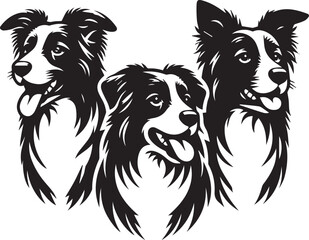 Obraz premium Border Collie Dog Vector – Silhouette 