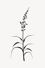 Fototapeta premium Minimalist botanical silhouette art.