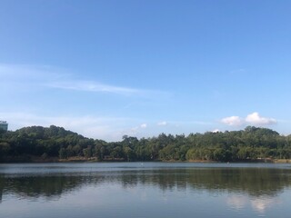 summer landscape with lake