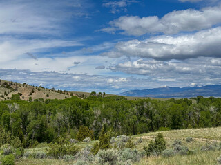 A scenic view of a vast prairie in early summer, with sagebrush and green trees stretching toward distant snow-capped mountains beneath a partly cloudy sky. Montana