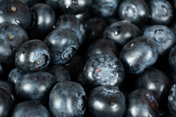 Fresh blueberries close-up, berry background
