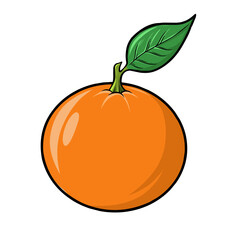 vector illustration of orange