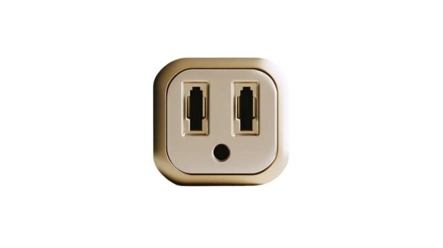 Gold Plated 2 Pin Socket