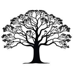 Obraz premium Elegant black silhouette of a large deciduous tree with a full canopy of branches and leaves against a white background