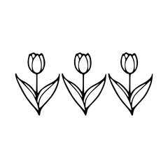 minimalist tulips flower clipart