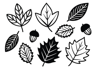 Autumn & Fall Season Illustrations